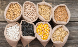 I cereali fanno bene: ecco tante ricette per scoprirli