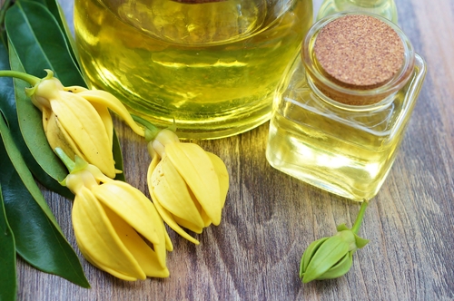 olio di ylang ylang