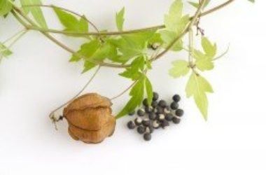 Cortisone naturale: tutte le alternative naturali