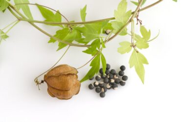 Cortisone naturale: tutte le alternative naturali