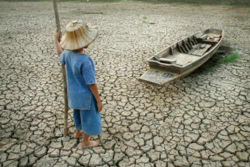 effetti dei cambiamenti del clima