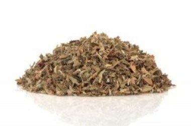 Benefici e proprietà della damiana