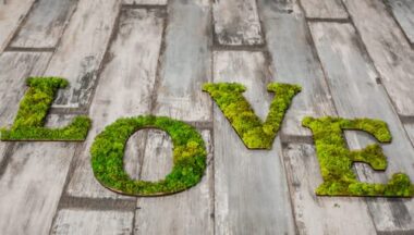 Come fare una scritta di muschio