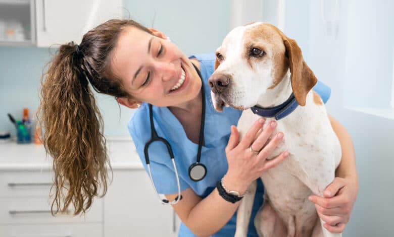 come scegliere il veterinario