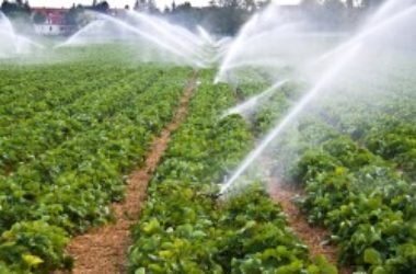 I batteri per proteggere il raccolto quando c’è poca acqua