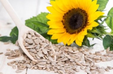 Tutte le proprietà dei semi di girasole e le migliori ricette da preparare in casa