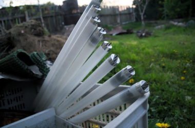 Raccolta differenziata delle lampadine e dei falsi amici del vetro
