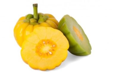 Tutto sulla Garcinia cambogia, le caratteristiche, proprietà e controindicazioni di questa pianta di cui si parla molto per le proprietà dimagranti