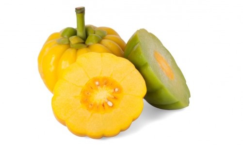 garcinia cambogia e diabete