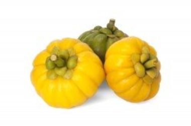 Tutto sulla Garcinia cambogia, le caratteristiche, proprietà e controindicazioni di questa pianta di cui si parla molto per le proprietà dimagranti