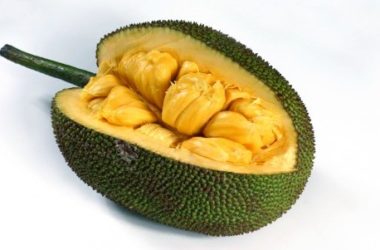 Jackfruit: sapore, proprietà e utilizzi di uno strano frutto tropicale