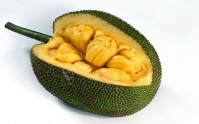 Jackfruit: sapore, proprietà e utilizzi di uno strano frutto tropicale