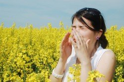 Allergie stagionali: tutto quello che c’è da sapere