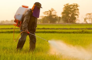 Pesticidi pericolosi per la salute: ecco il nuovo rapporto Greenpeace