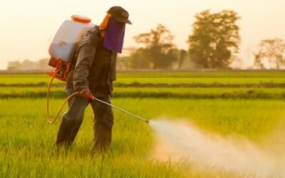 Pesticidi pericolosi per la salute: ecco il nuovo rapporto Greenpeace