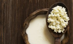 Cibi fermentati: quali sono, come mangiarli e i benefici per la salute