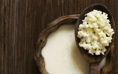 Tutto sui cibi fermentati, quali sono, come mangiarli, i benefici per la salute