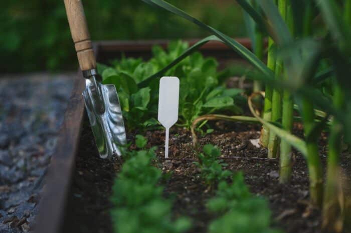 Come fare un orto in giardino
