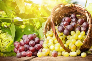 La vinoterapia, ovvero i cosmetici a base di vino