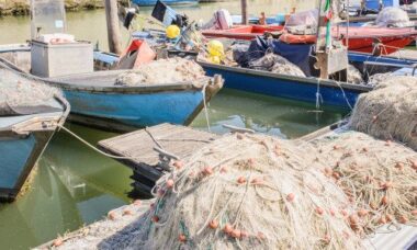 Pesce di mare o pesce di allevamento: quali sono le differenze?