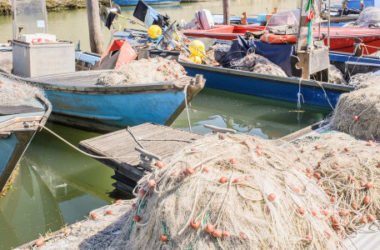 Pesce di mare o pesce di allevamento: quali sono le differenze?