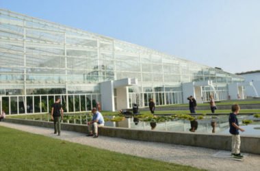Orto Botanico di Padova: un luogo ricco di ispirazioni