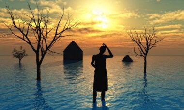 Papa Francesco e l’ambiente