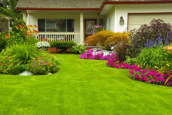 Come fare il prato e mantenerlo sempre rigoglioso tuttogreen Come sistemare un giardino