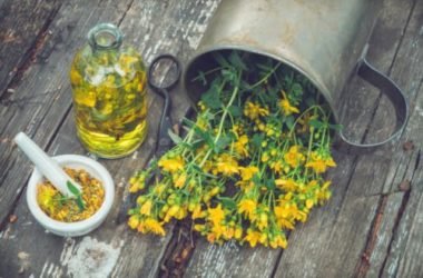 Olio di iperico: tutti gli utilizzi di questo olio apprezzato per le sue proprietà terapeutiche