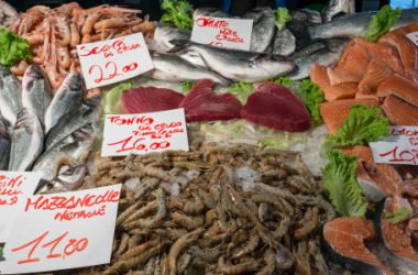Gamberi grigi o rossi: quali sono quelli naturali?