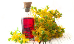 Olio di iperico: proprietà e utilizzi