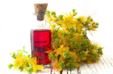 Olio di iperico: tutti gli utilizzi di questo olio apprezzato per le sue proprietà terapeutiche