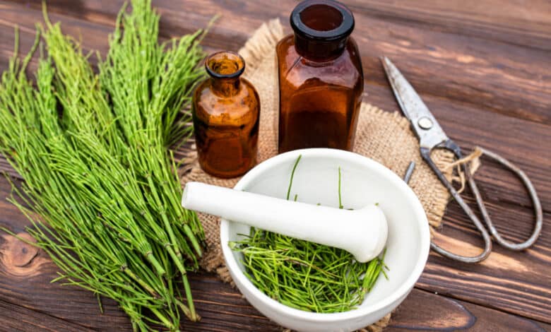 erbe per combattere il sudore