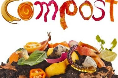 Come differenziare l’umido in estate in 8 mosse