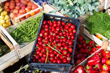 Scopriamo l’origine, le proprietà e le caratteristiche del cibo biologico