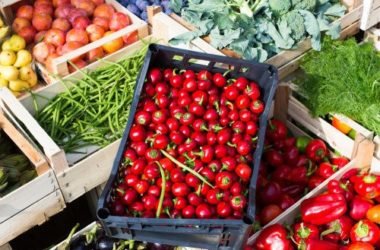 Scopriamo l’origine, le proprietà e le caratteristiche del cibo biologico