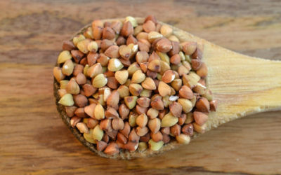Grano saraceno: proprietà e ricette di cucina