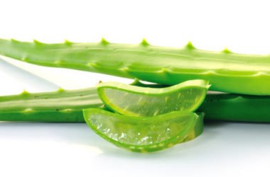 Guida su come ricavare il gel dall’aloe vera direttamente dalla pianta