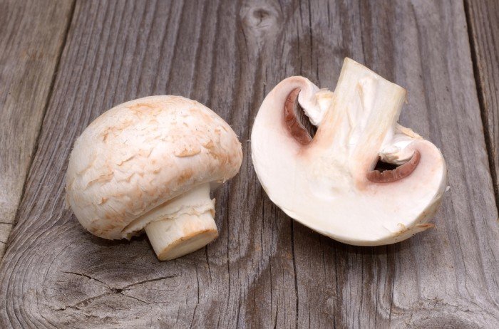 Funghi champignon, ricchi di proprietà e buoni da mangiare