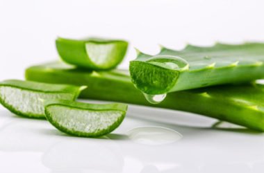 Scopriamo tutte le proprietà gli utilizzi ed i benefici della pianta dell’aloe vera ma anche le controindicazioni