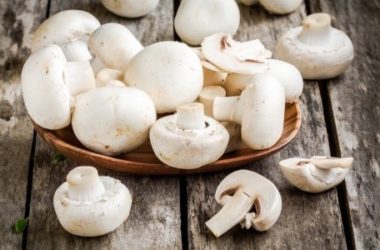 Funghi champignon, proprietà e utilizzi