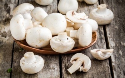 Funghi champignon, proprietà e utilizzi