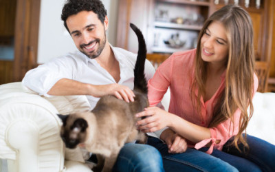 5 cose da sapere per chi vuole adottare un gatto