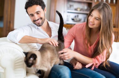 5 cose da sapere per chi vuole adottare un gatto