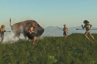Cosa sarebbe della Terra senza l’Uomo? Un’ipotesi scientifica