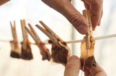 Usi alternativi del tè: idee per un riutilizzo creativo di questa bevanda
