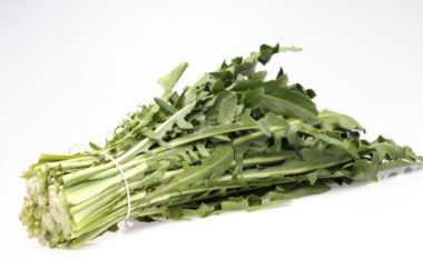 Proprietà della cicoria: ricette ed utilizzi in cucina