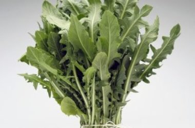 Proprietà della cicoria: ricette ed utilizzi in cucina