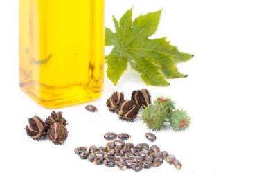 Guida all’olio di ricino, scopriamone insieme i benefici per capelli e cosmesi ma anche le controindicazioni