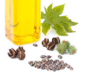 Guida all’olio di ricino, scopriamone insieme i benefici per capelli e cosmesi ma anche le controindicazioni
